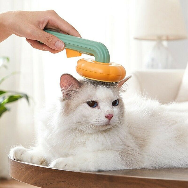 Pumpkin pet grooming brush