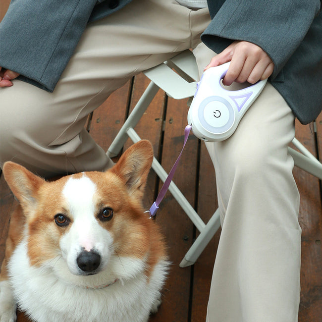 Retractable leash design
